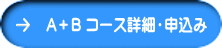 A�{B �R�[�X�ڍׁE�\����